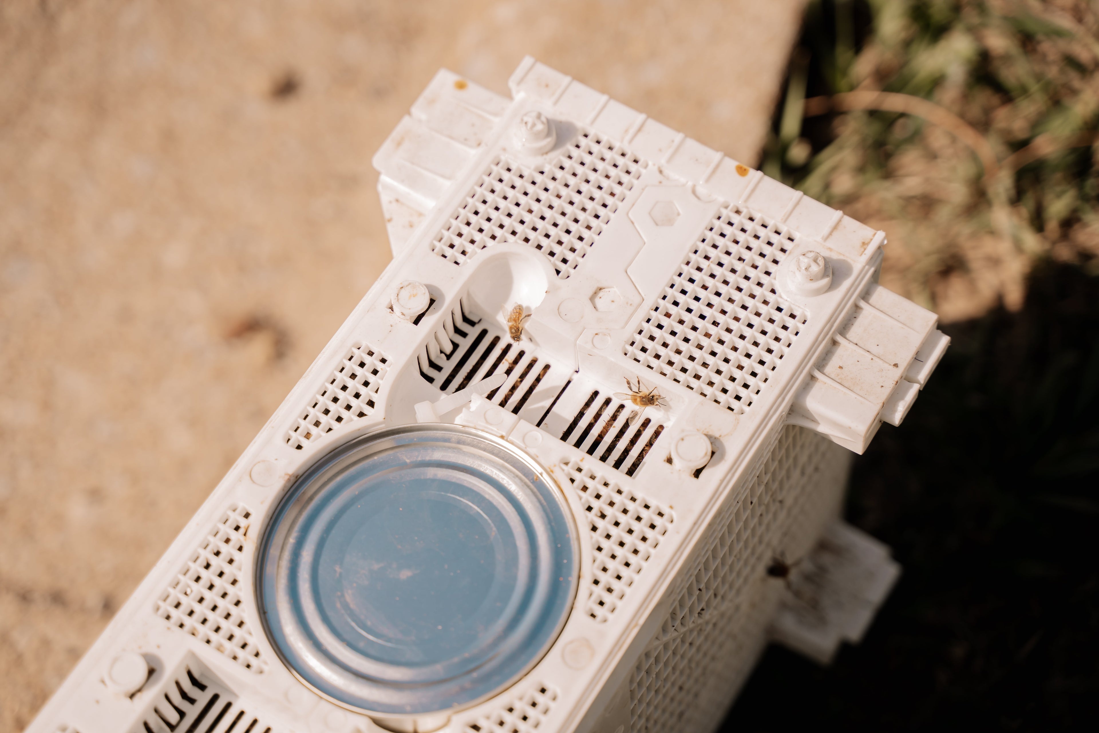 SHIPPED BEE PACKAGES