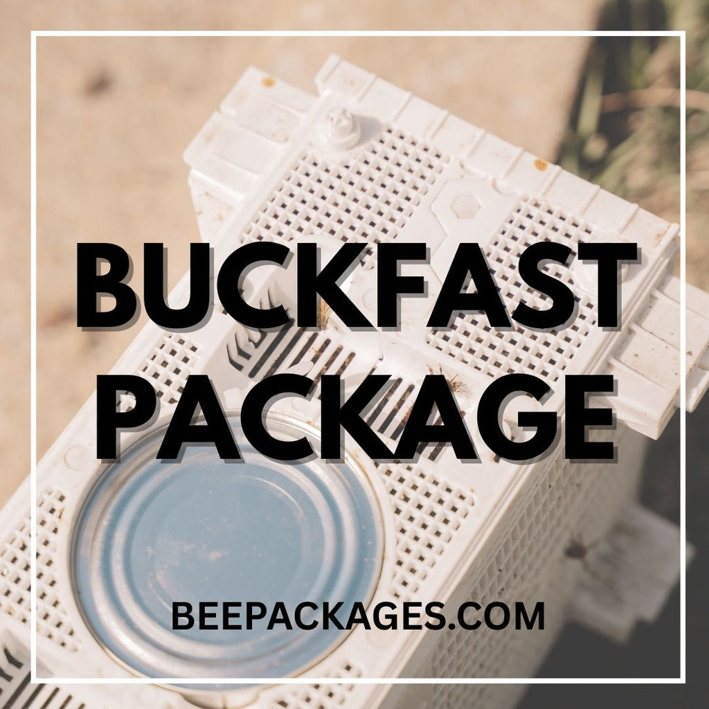 Buckfast Package Honey Bees - CHOOSE YOUR PICKUP LOCATION