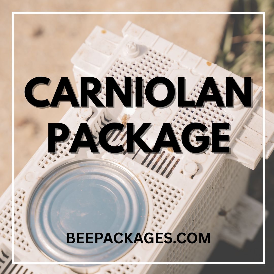 Carniolan Package Honey Bees - Shipped to you!