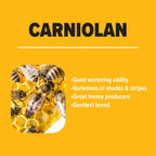 Carniolan Package Honey Bees - CHOOSE YOUR PICKUP LOCATION
